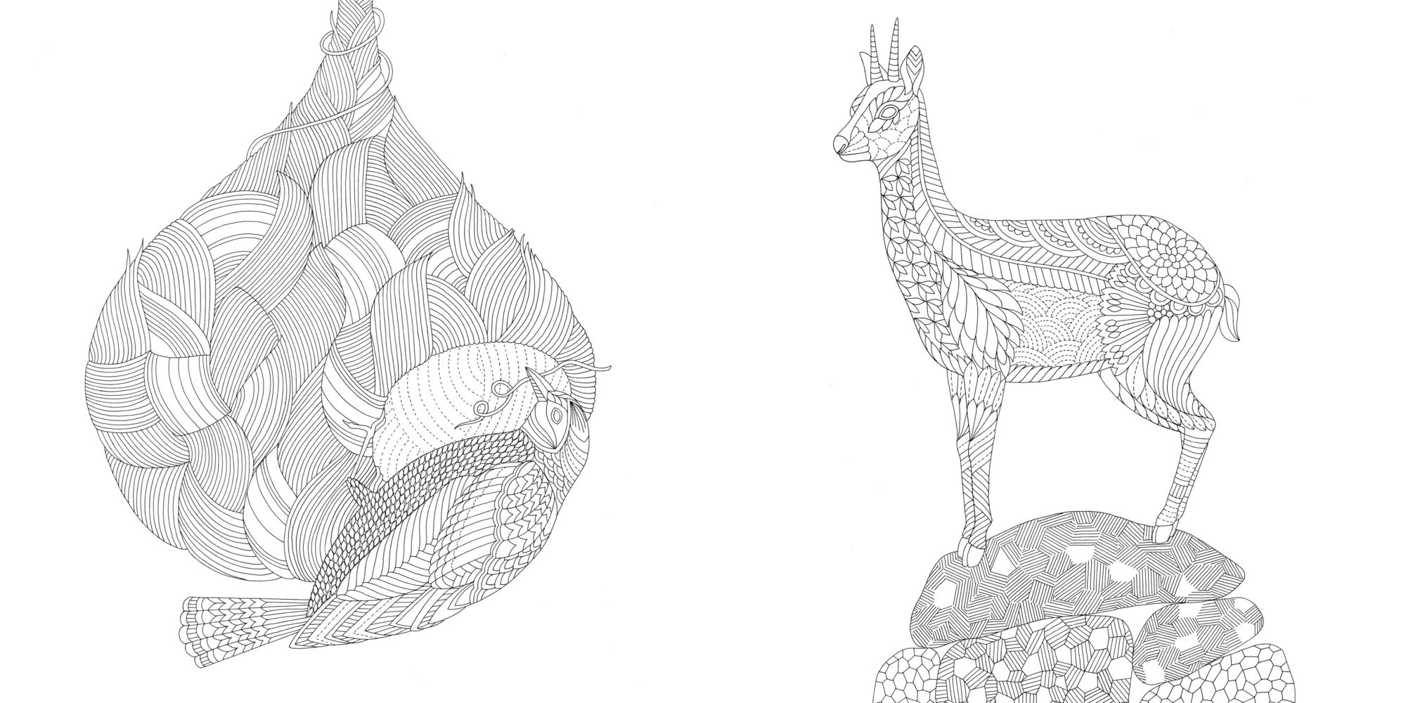 Wild Savannah: A Coloring Book Adventure - Image 3