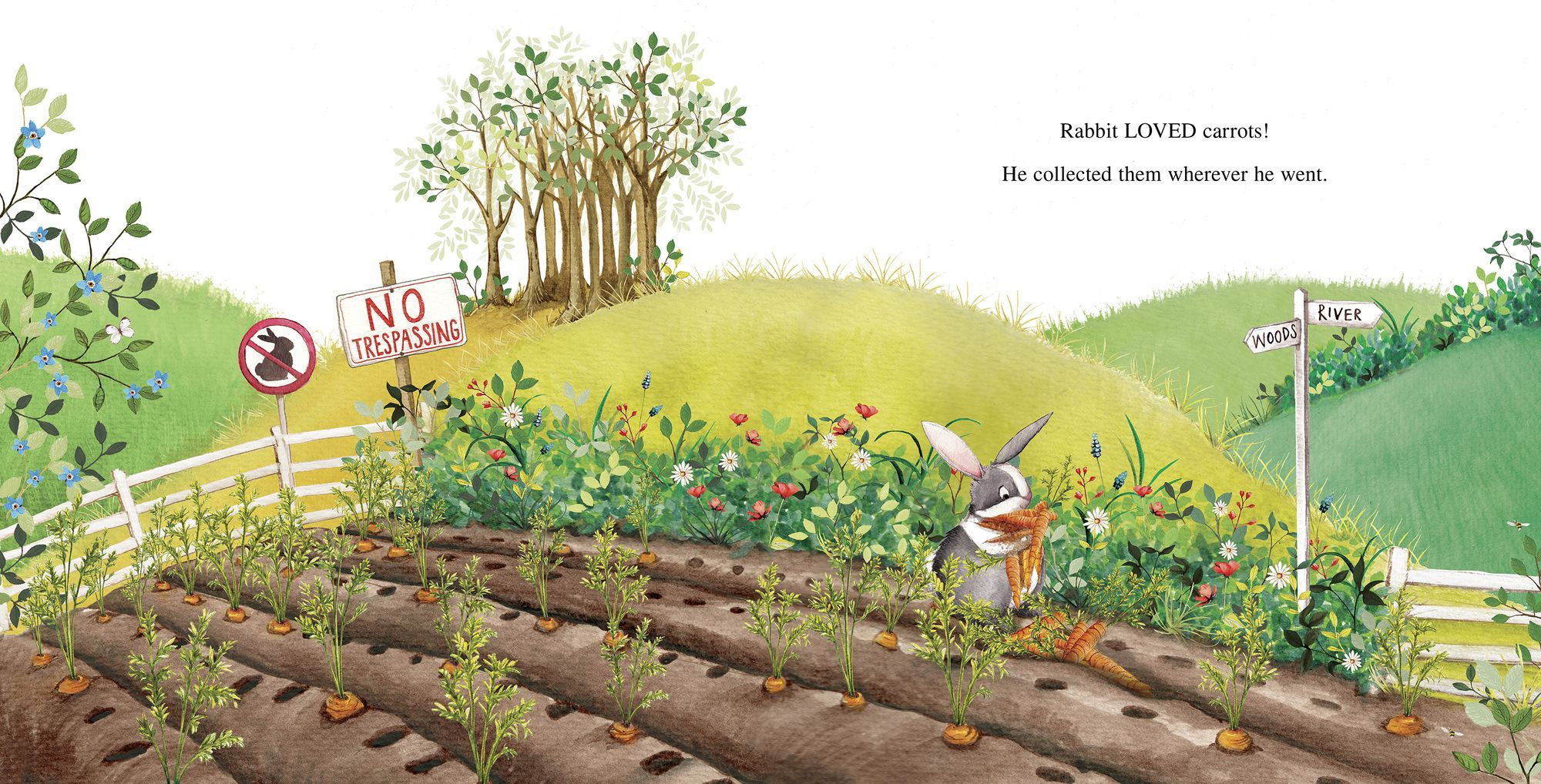 Alternative view of Too Many Carrots