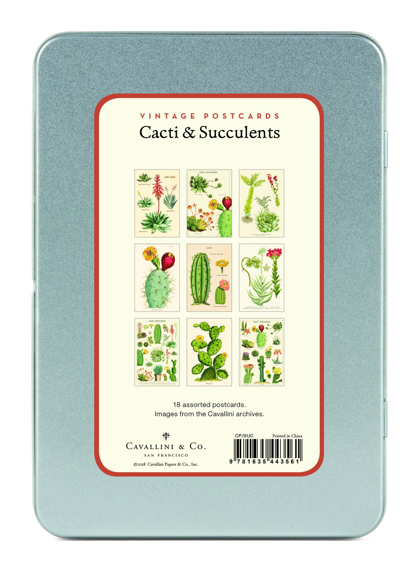 Alternative view of Succulents Carte Postale Postcard Set