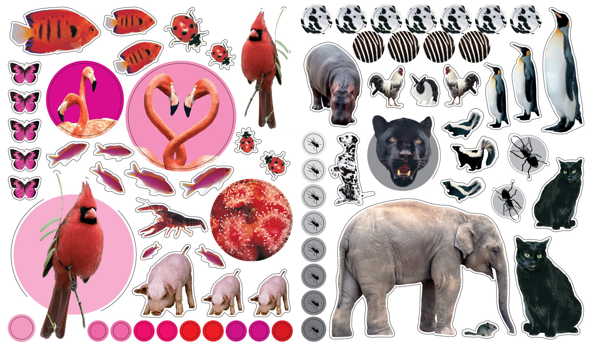Eyelike Stickers: Animals - Image 7