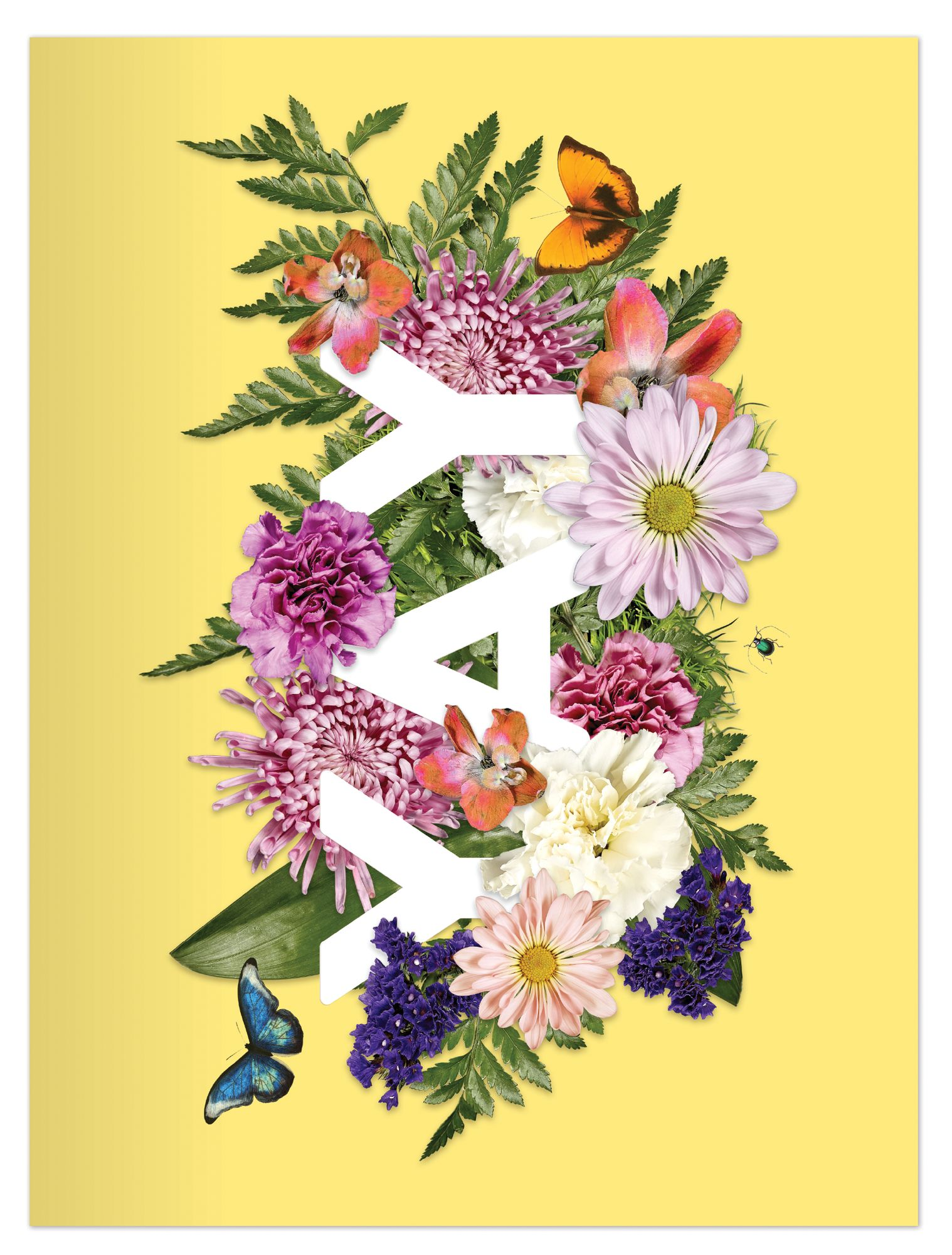 Say It With Flowers Greeting Assortment Notecard Box - Image 3