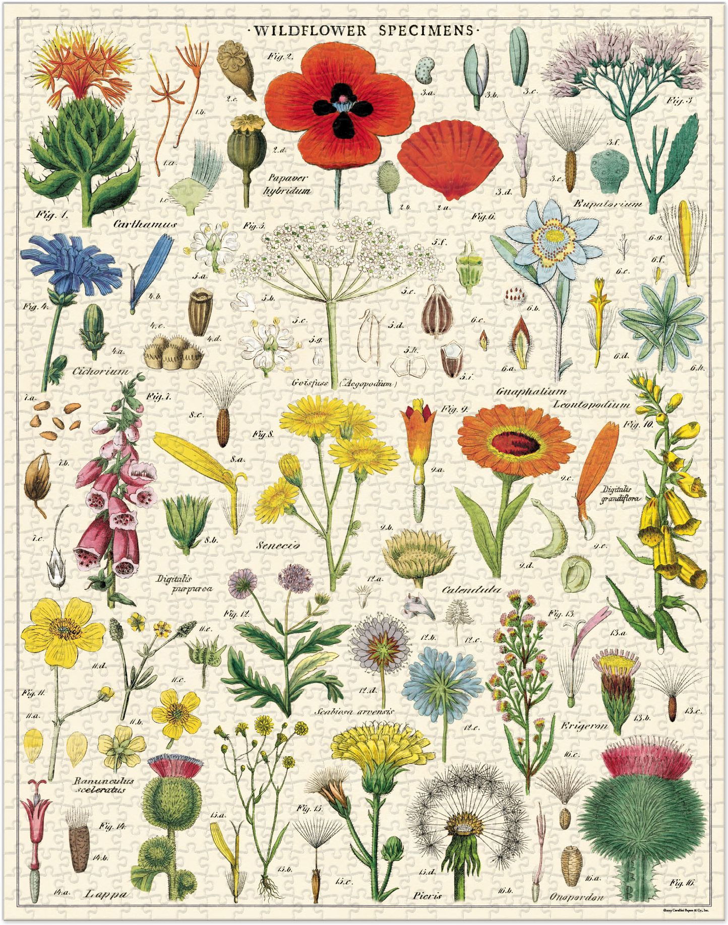 Alternative view of Cavallini & Co - Wildflowers 1,000 Piece Jigsaw Puzzle