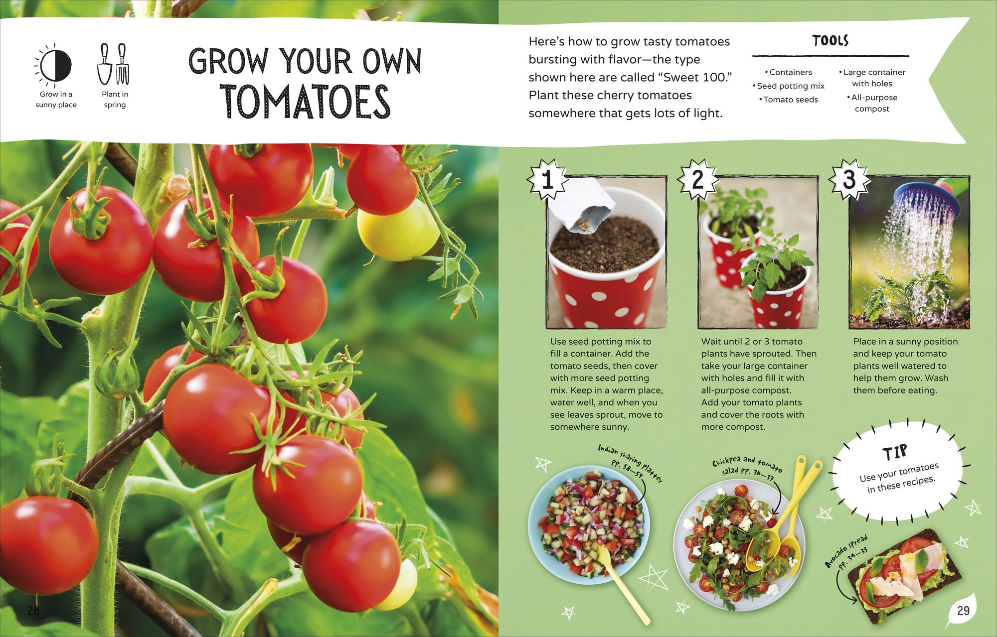 The No-Cook Cookbook - Image 2