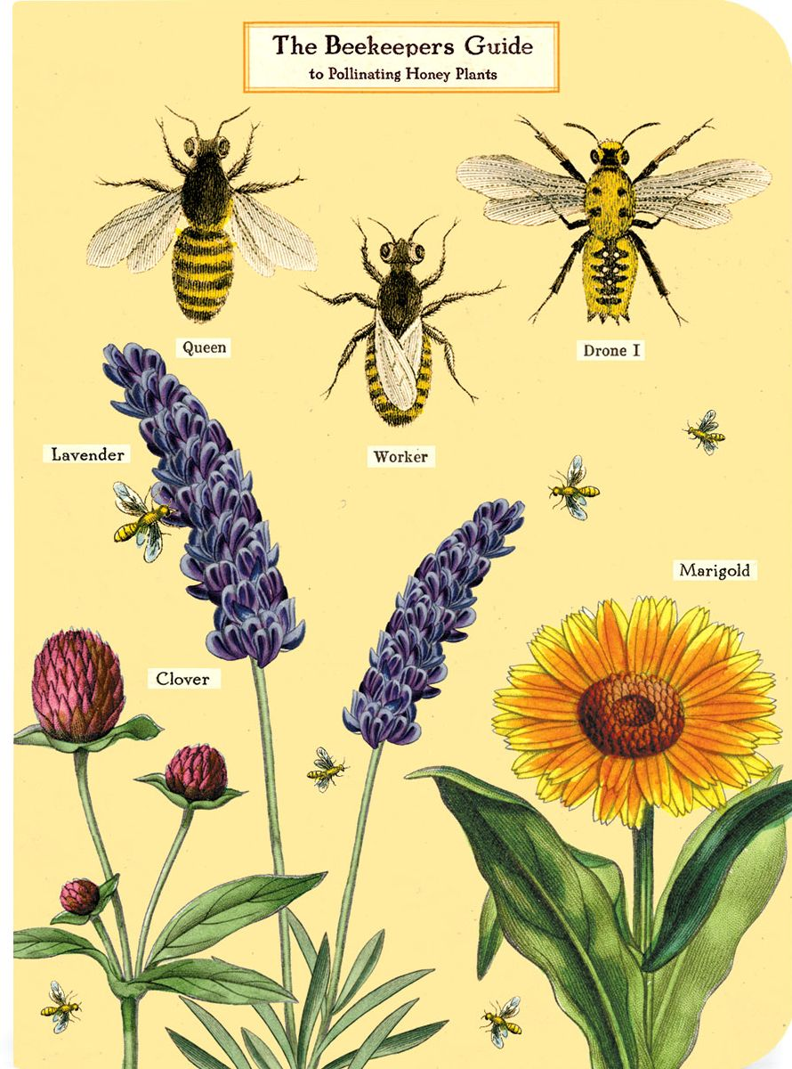 Bees & Honeys Mini Journals - Image 4