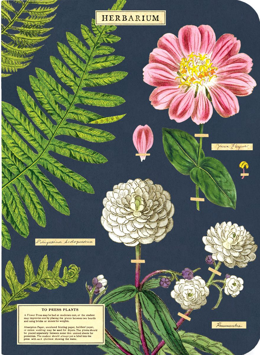 Herbarium Mini Journals - Image 2