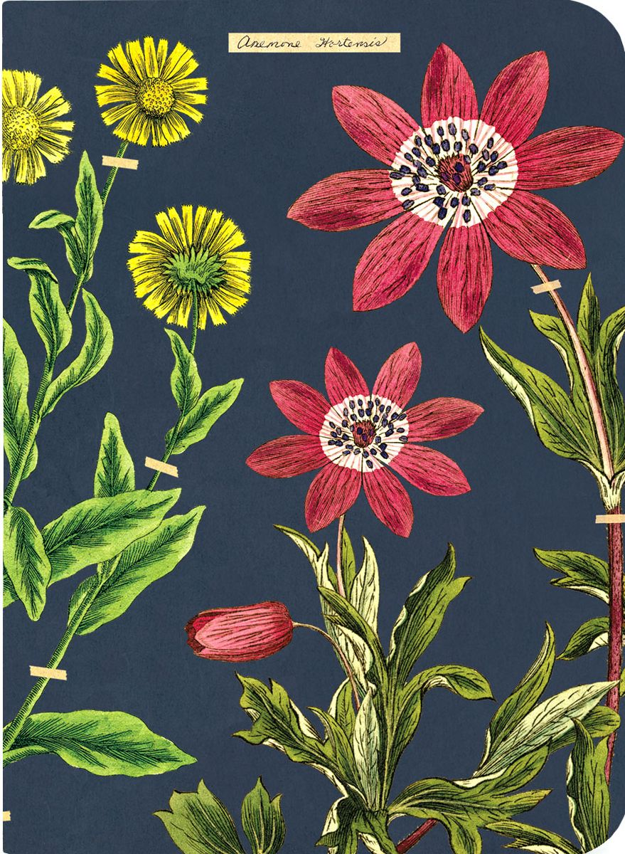 Herbarium Mini Journals - Image 4