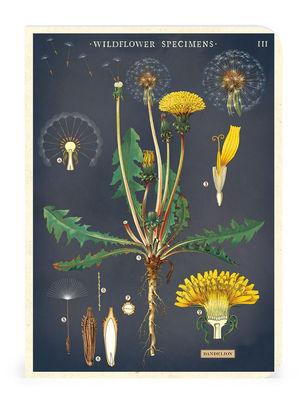 Alternative view of Wildflowers Mini Notebooks