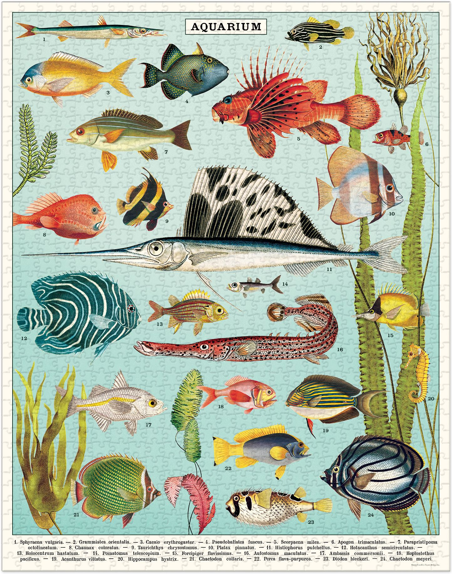 Aquarium 1,000 Piece Puzzle - Image 3