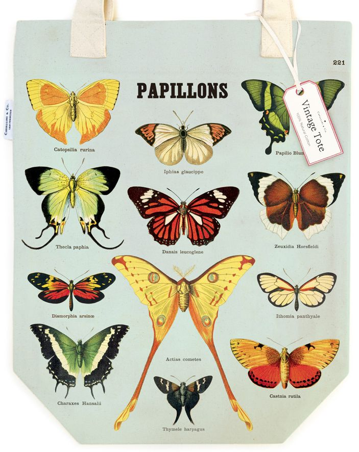 Alternative view of Butterflies Tote Bag