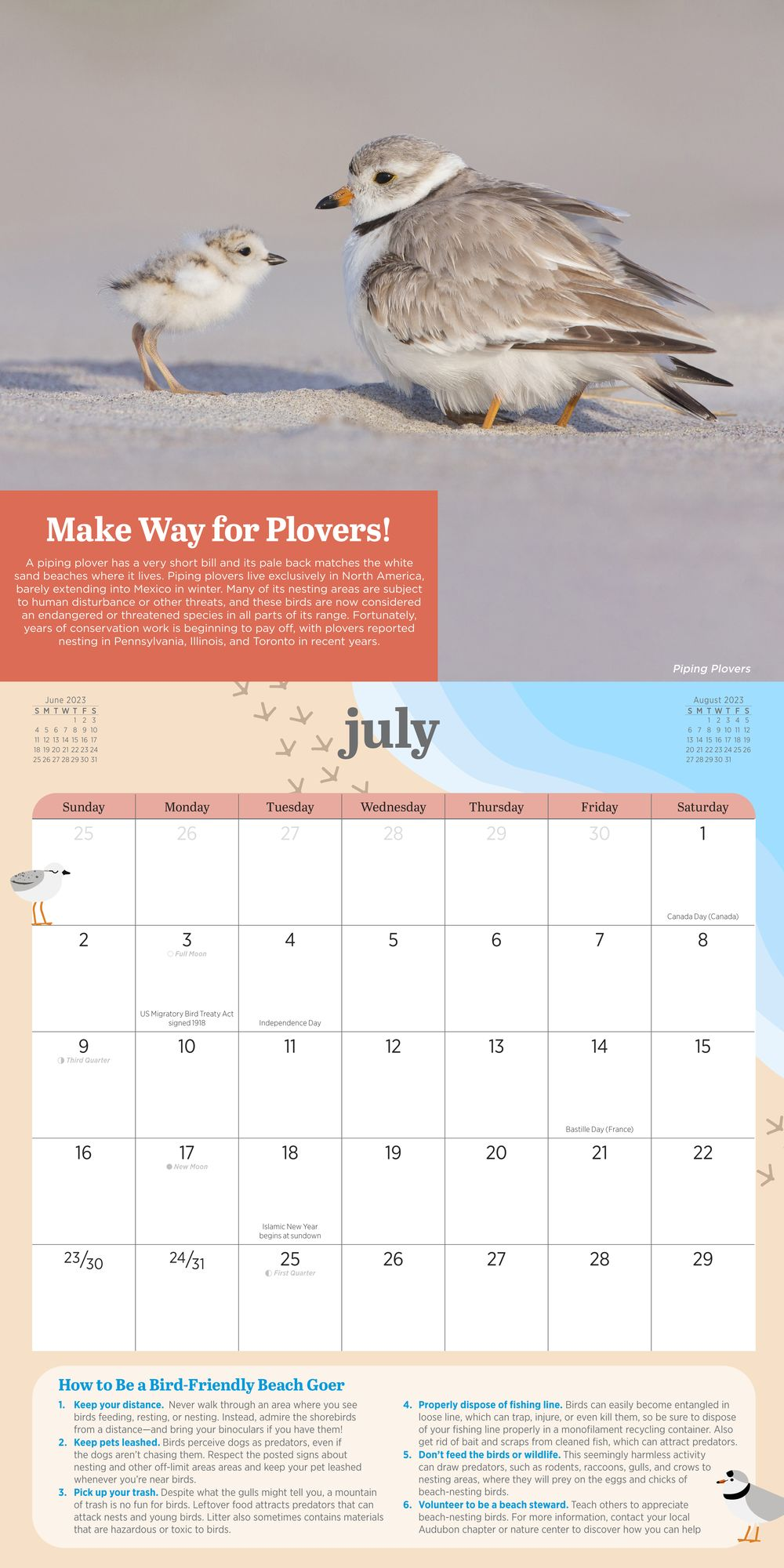Alternative view of 2023 Kids' Birding Activity Wall Calendar