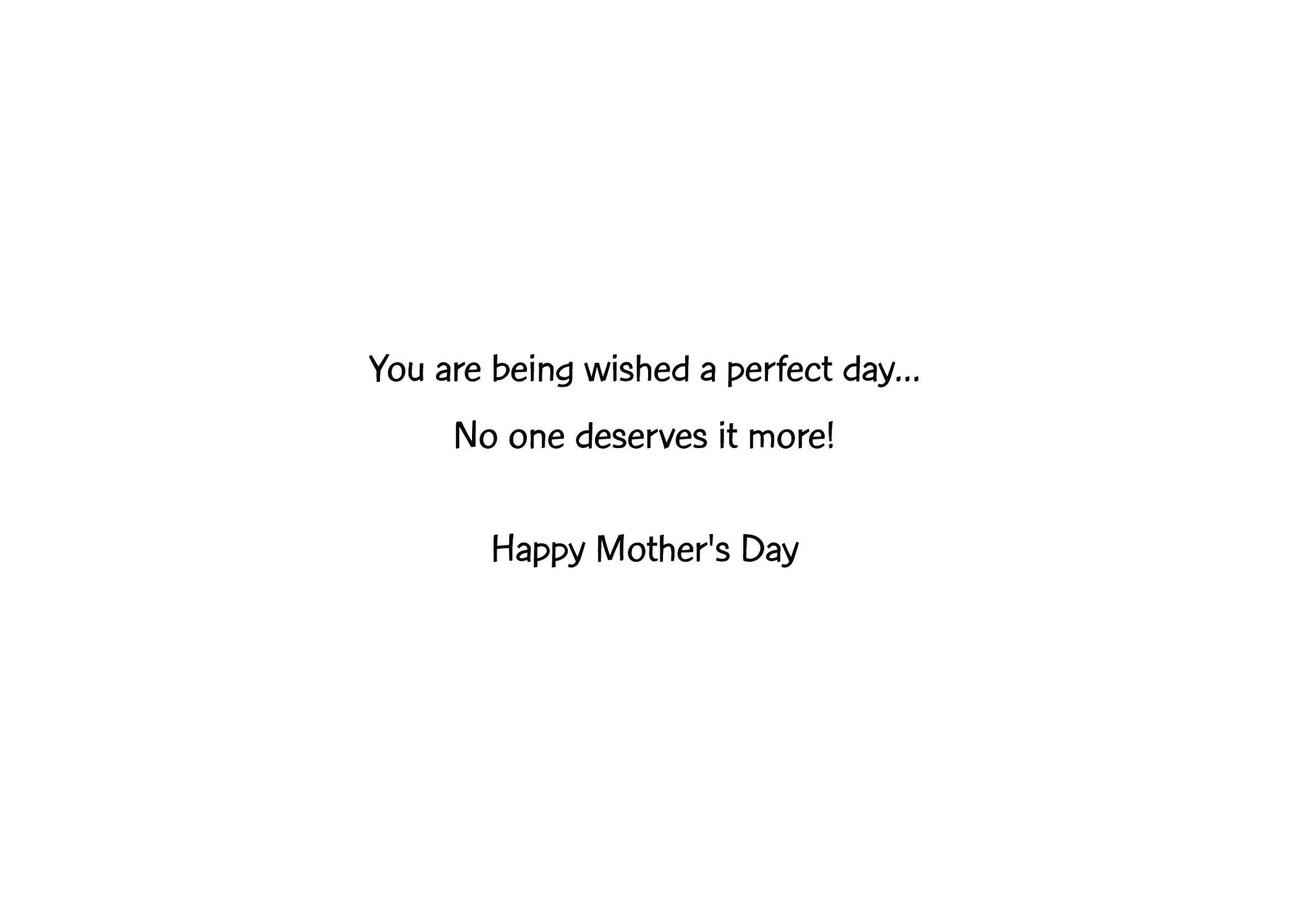Mother's Day Greeting Card Mom In Bubble Bath With Wine Glass and Book - Image 2