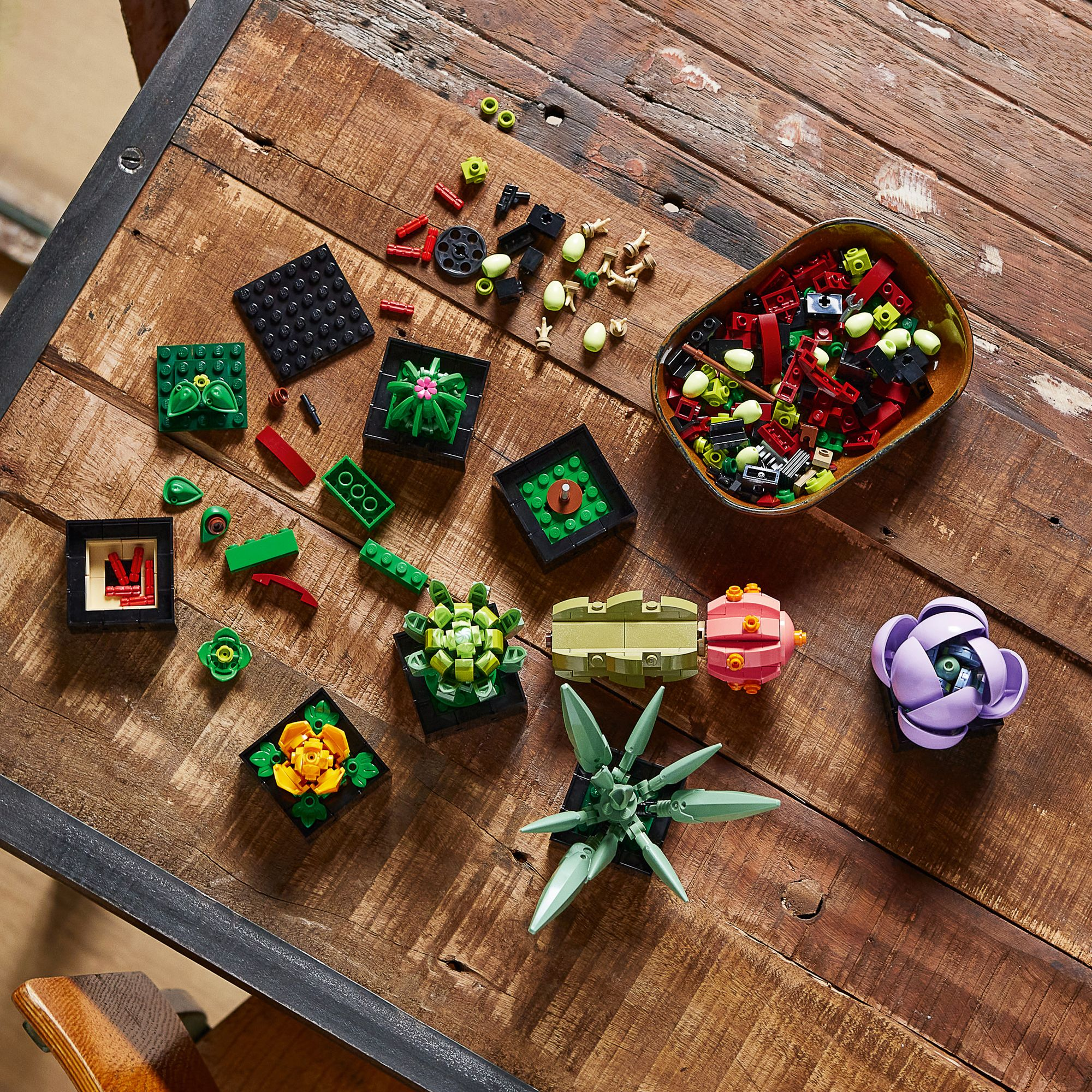 LEGO Icons Succulents 10309 - Image 5
