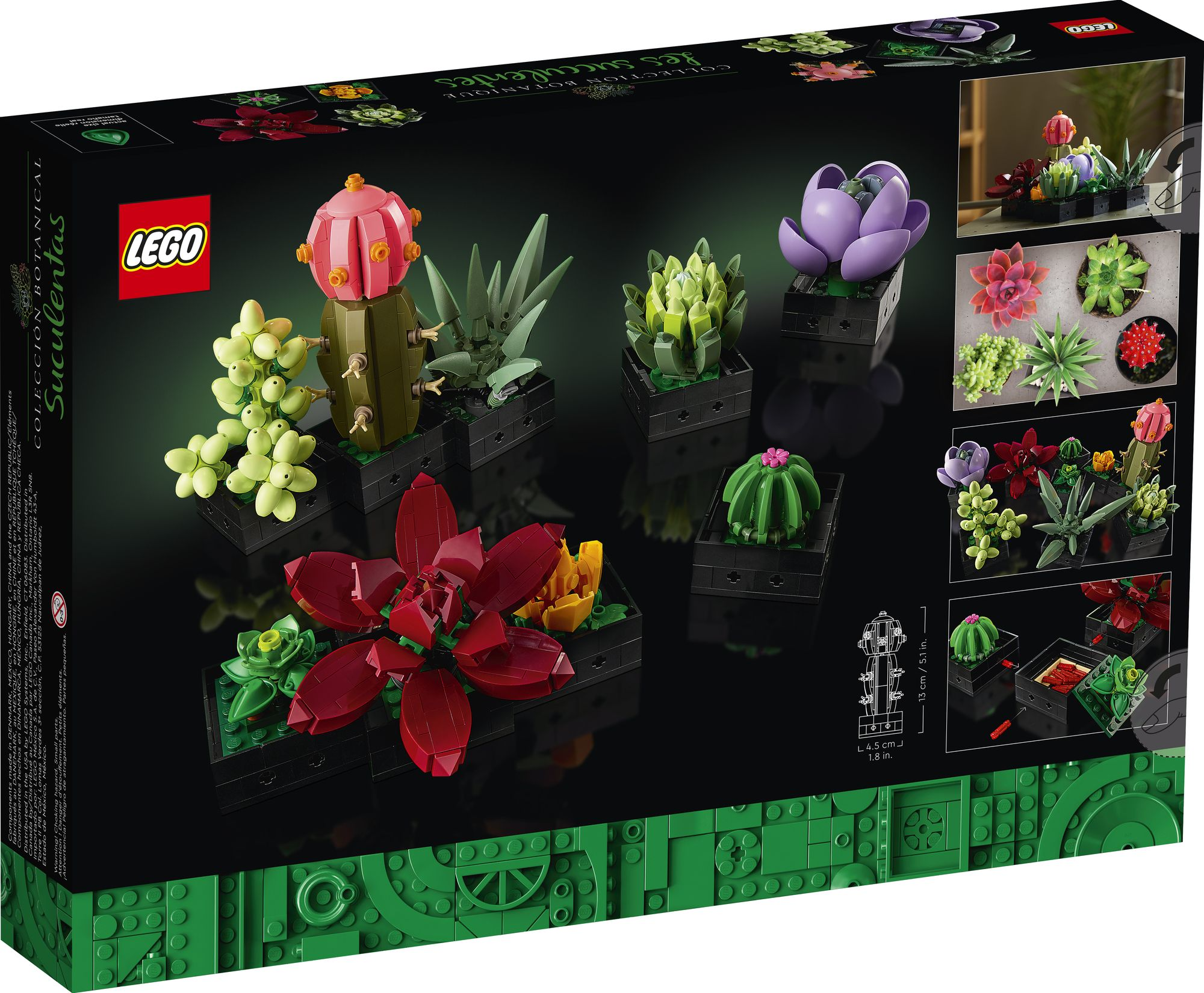 LEGO Icons Succulents 10309 - Image 7