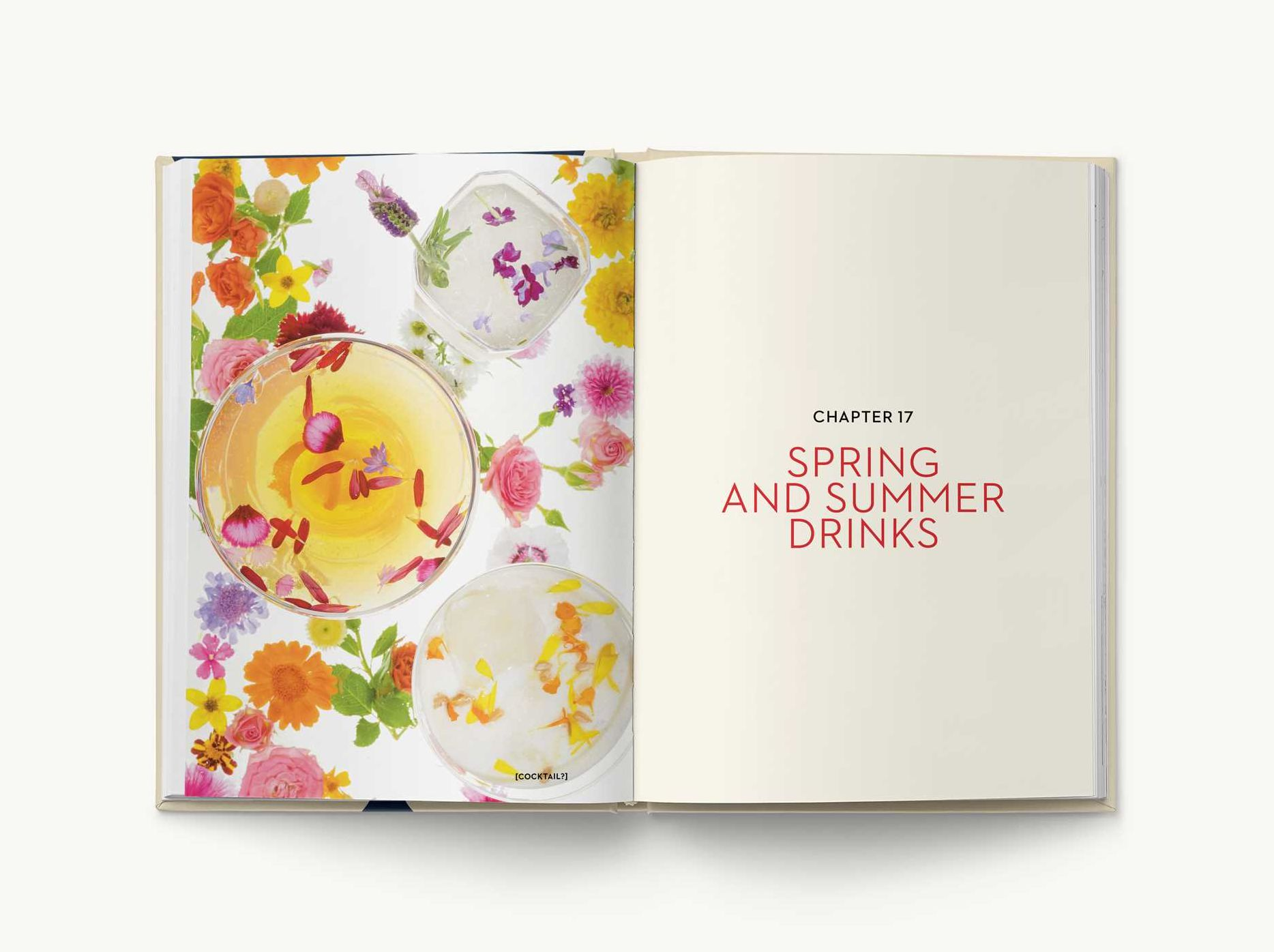 The New York Times Essential Book of Cocktails (Second Edition): Over 400 Classic Drink Recipes With Great Writing from The New York Times - Image 12