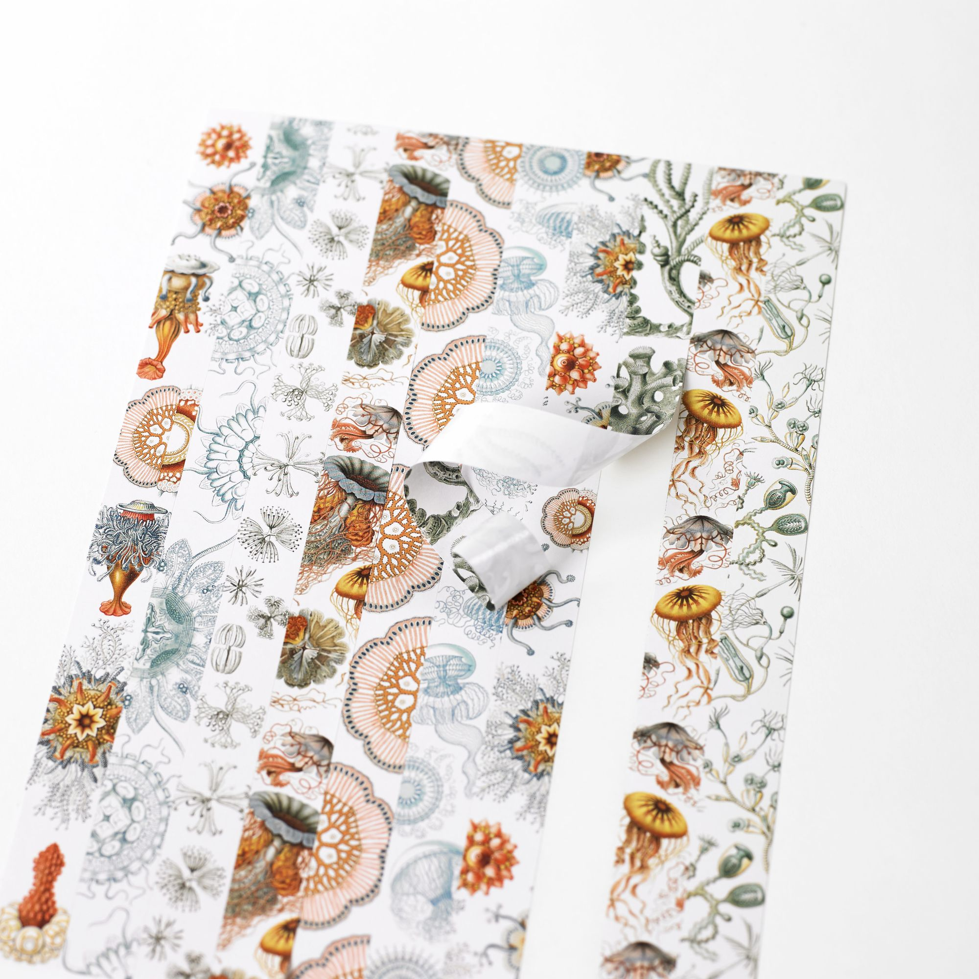 Art Forms in Nature Label, Sticker & Tape Book - Image 2