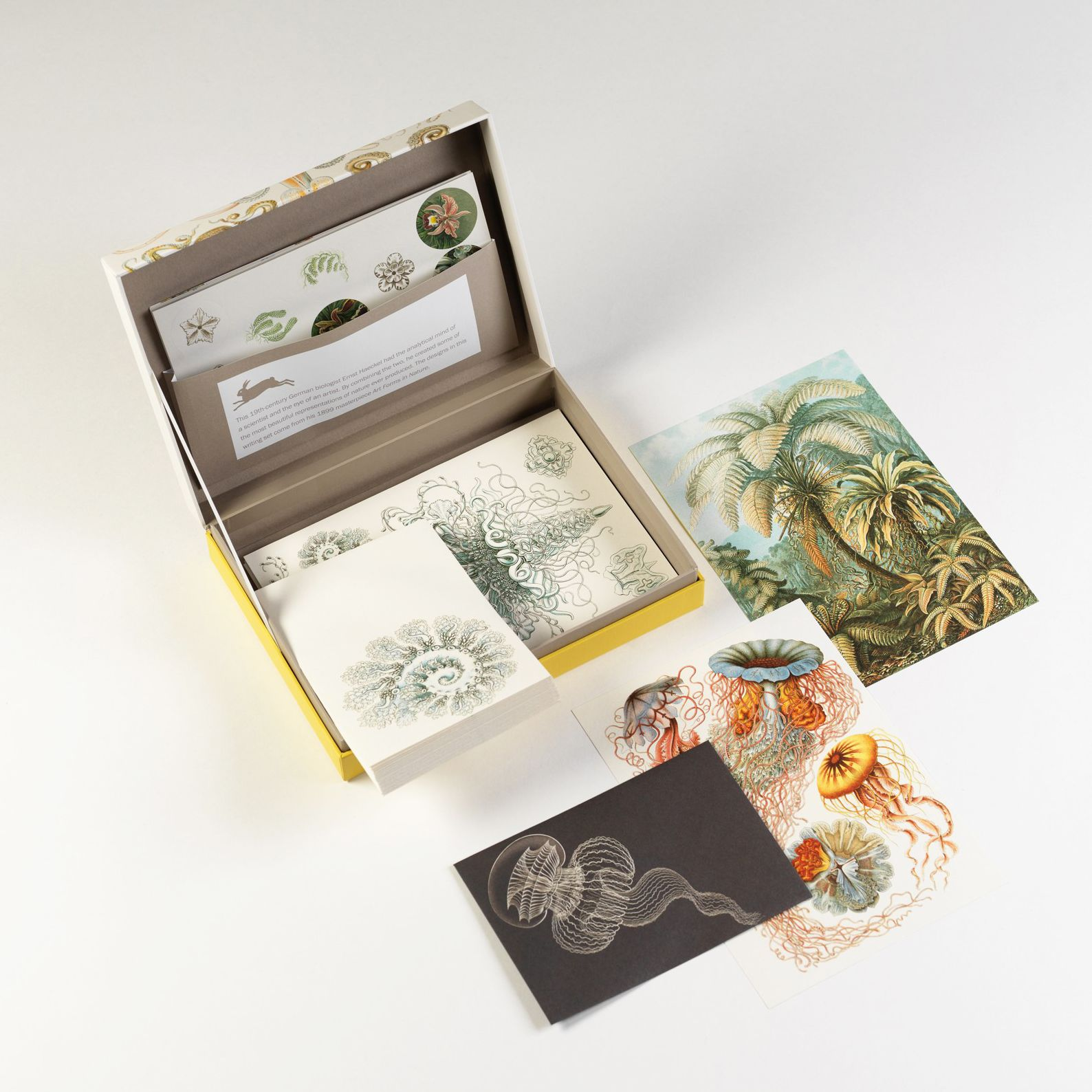 Alternative view of Art Forms in Nature Letter Writing Set