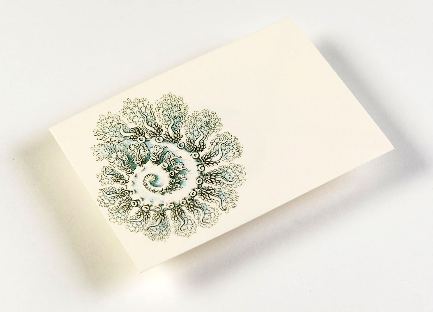 Art Forms in Nature Letter Writing Set - Image 3