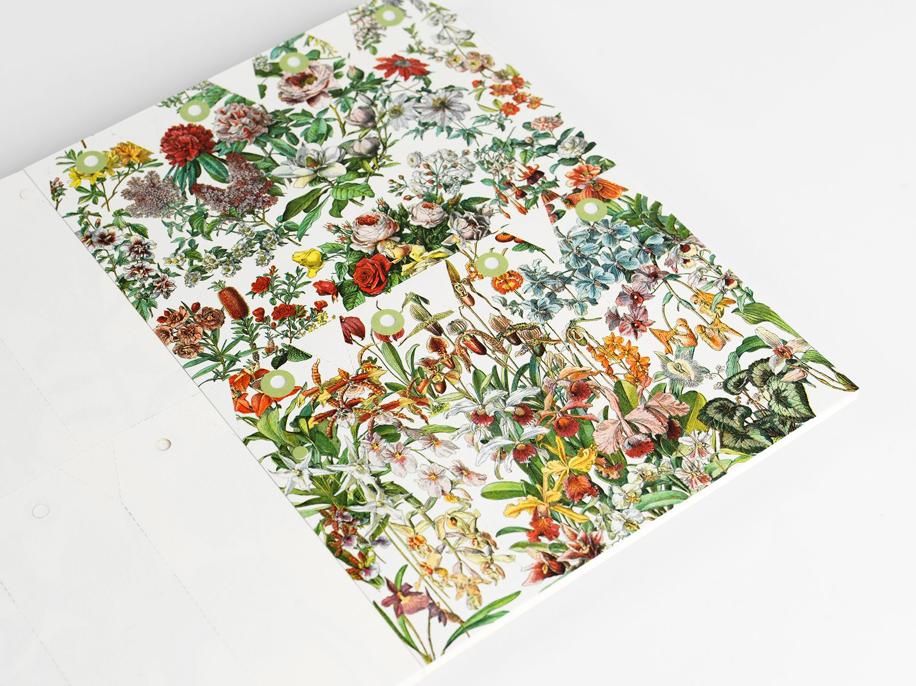 Flowers Papercraft Book - Image 5