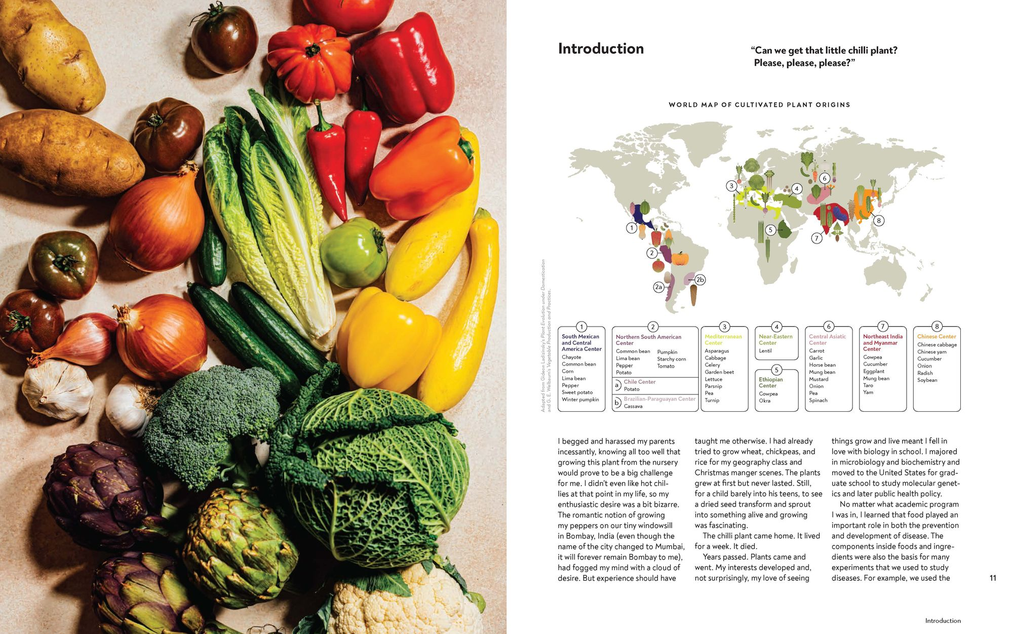 Veg-table: Recipes, Techniques, and Plant Science for Big-Flavored, Vegetable-Focused Meals - Image 7