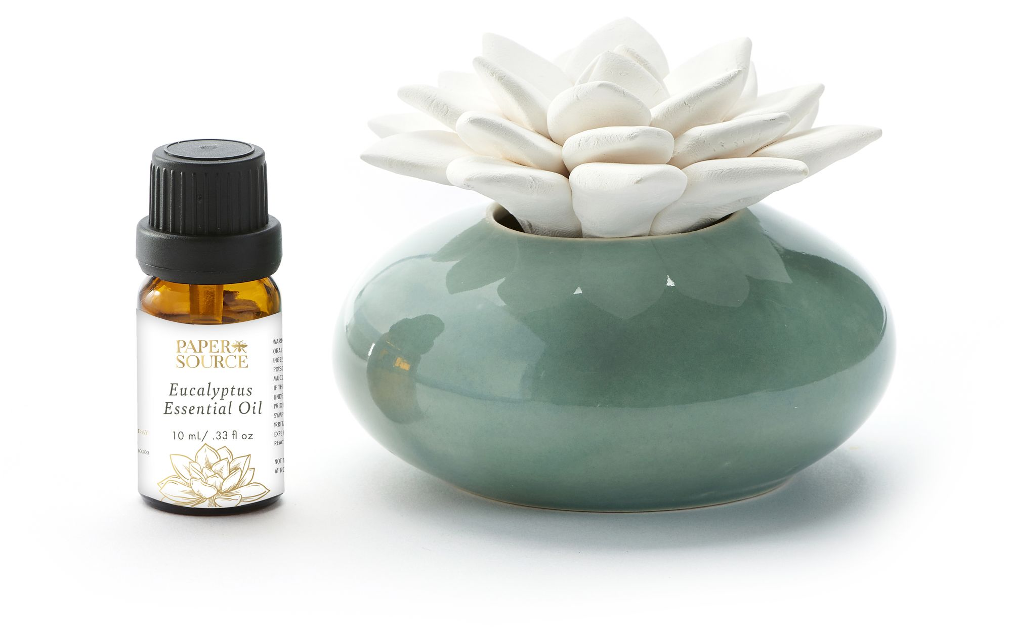Alternative view of Ceramic Succulent Diffuser