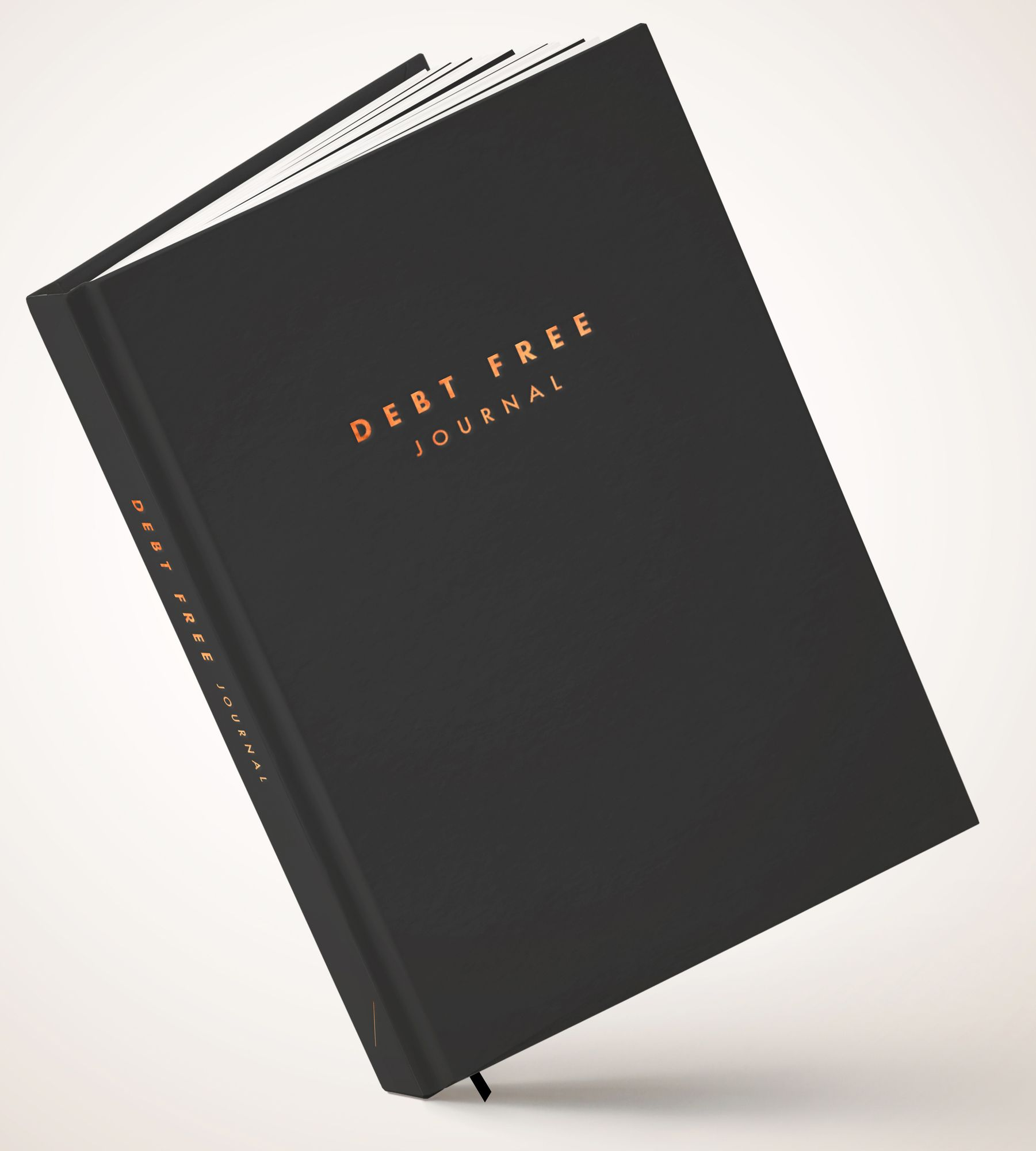 Alternative view of Debt Free Journal