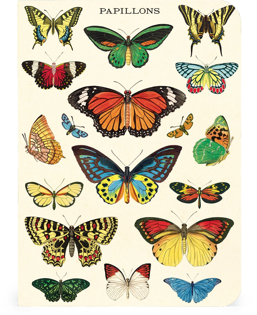 Alternative view of Butterflies Mini Notebooks - Set of 3