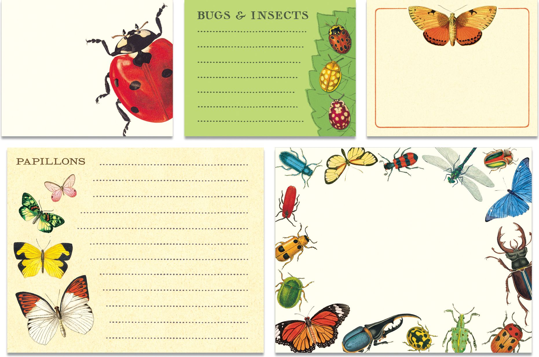 Alternative view of Bugs & Insects Sticky Notes