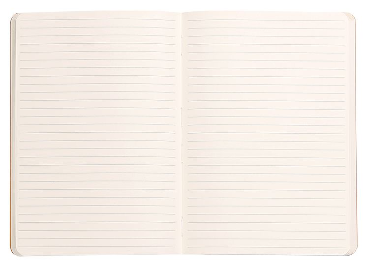 Rhodia Peacock Softcover Lined Notebook - Image 2
