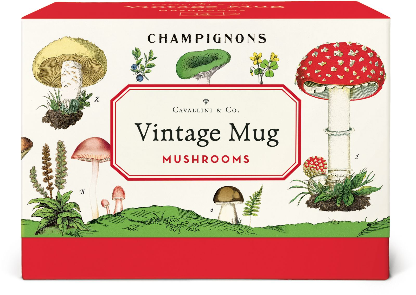 Alternative view of Mushroom Mug