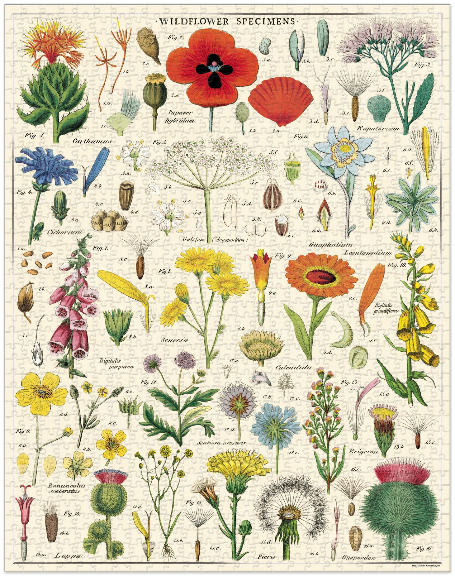 Cavallini & Co - Wildflowers 1,000 Piece Jigsaw Puzzle - Image 4