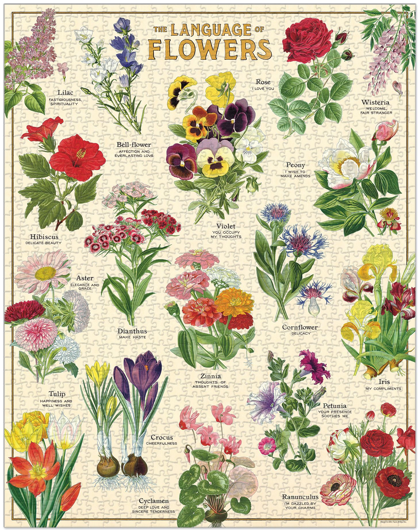 Alternative view of Language of Flowers 1,000 Pc Puzzle