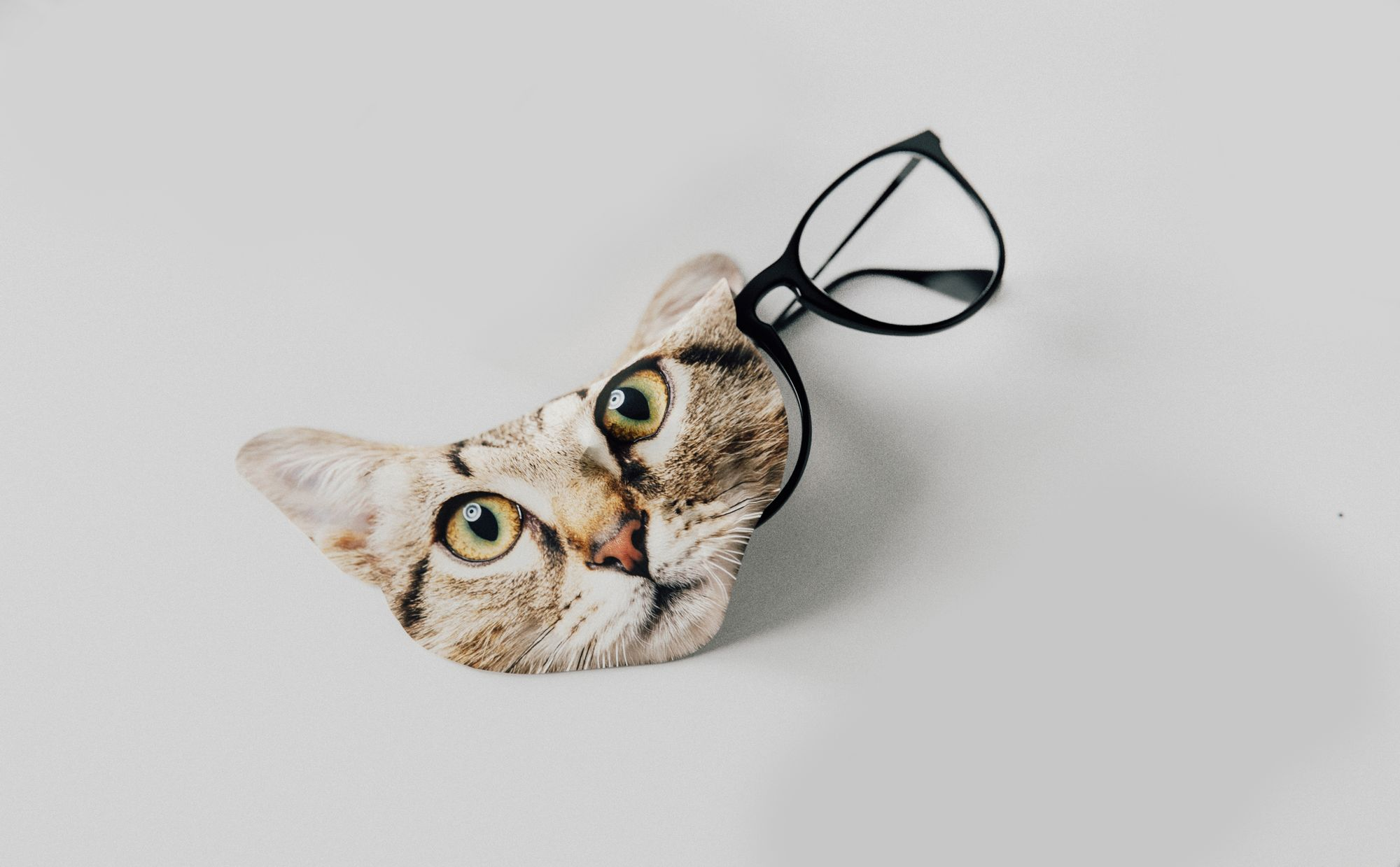 Cat Lens Cleaning Cloth - Image 2