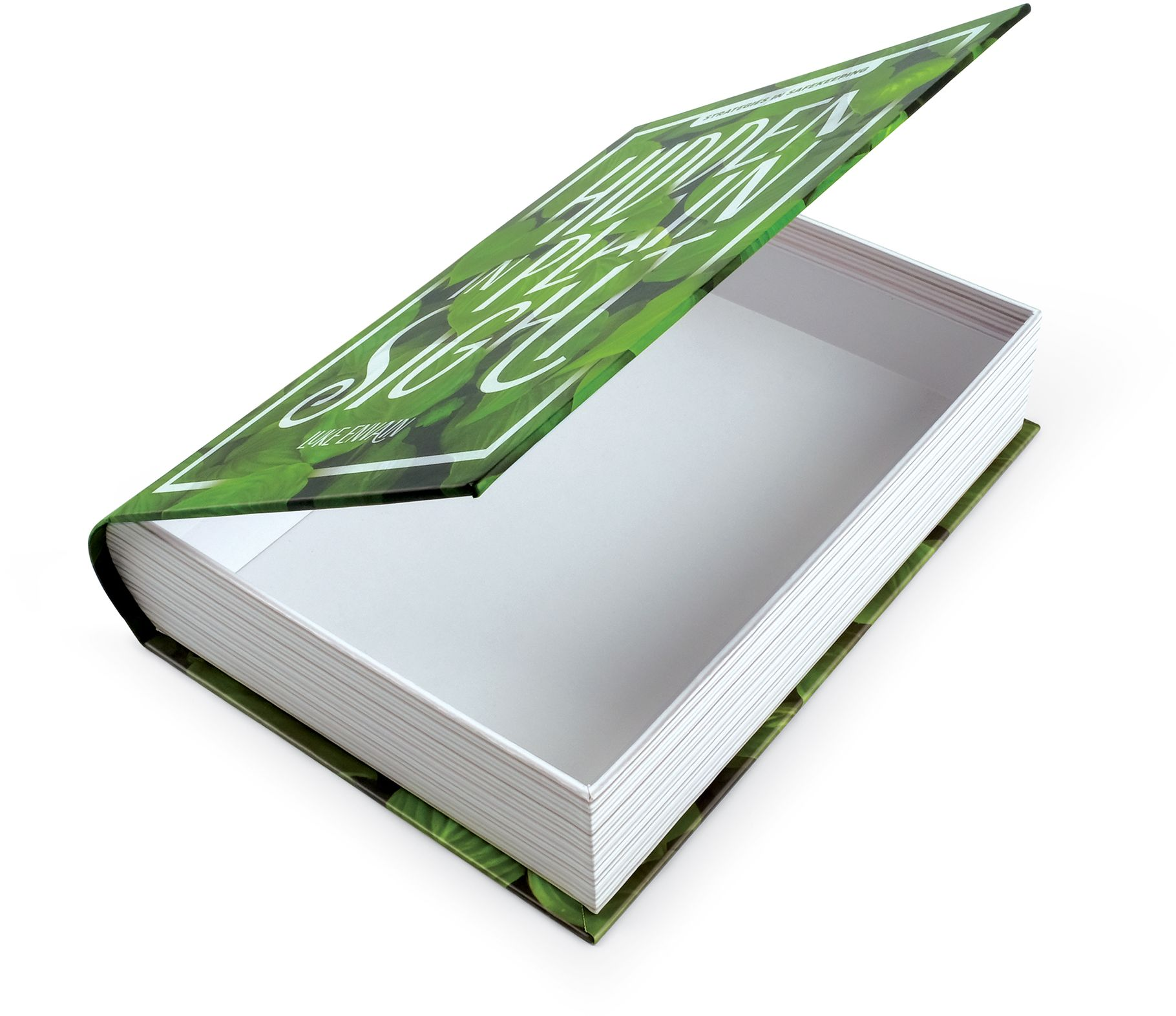 Hidden In Plain Sight Book Storage Box - Image 5