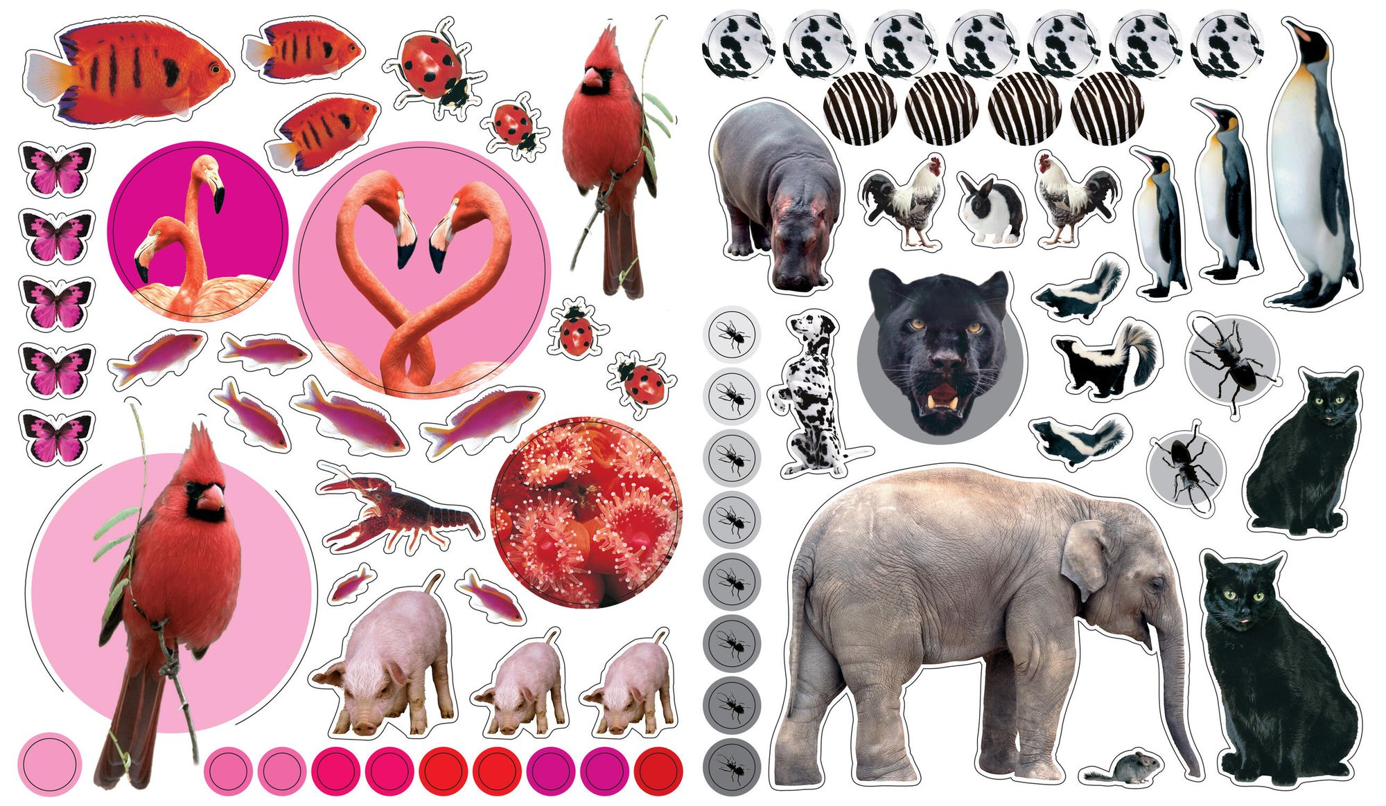 Eyelike Stickers: Animals - Image 12