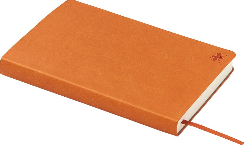 Alternative view of Brown Paper Wasp Lined Journal