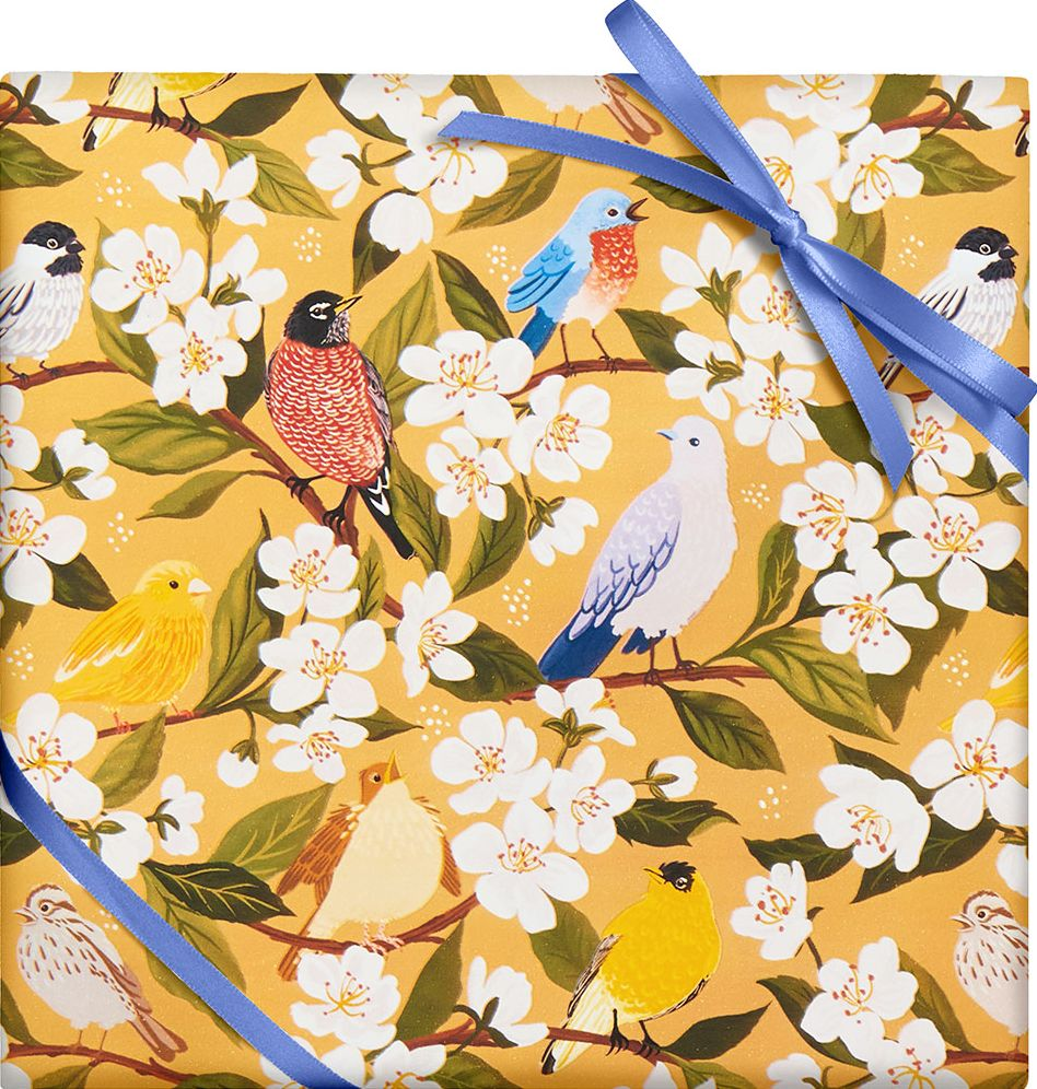 Alternative view of Songbirds & Blossoms Wrapping Paper
