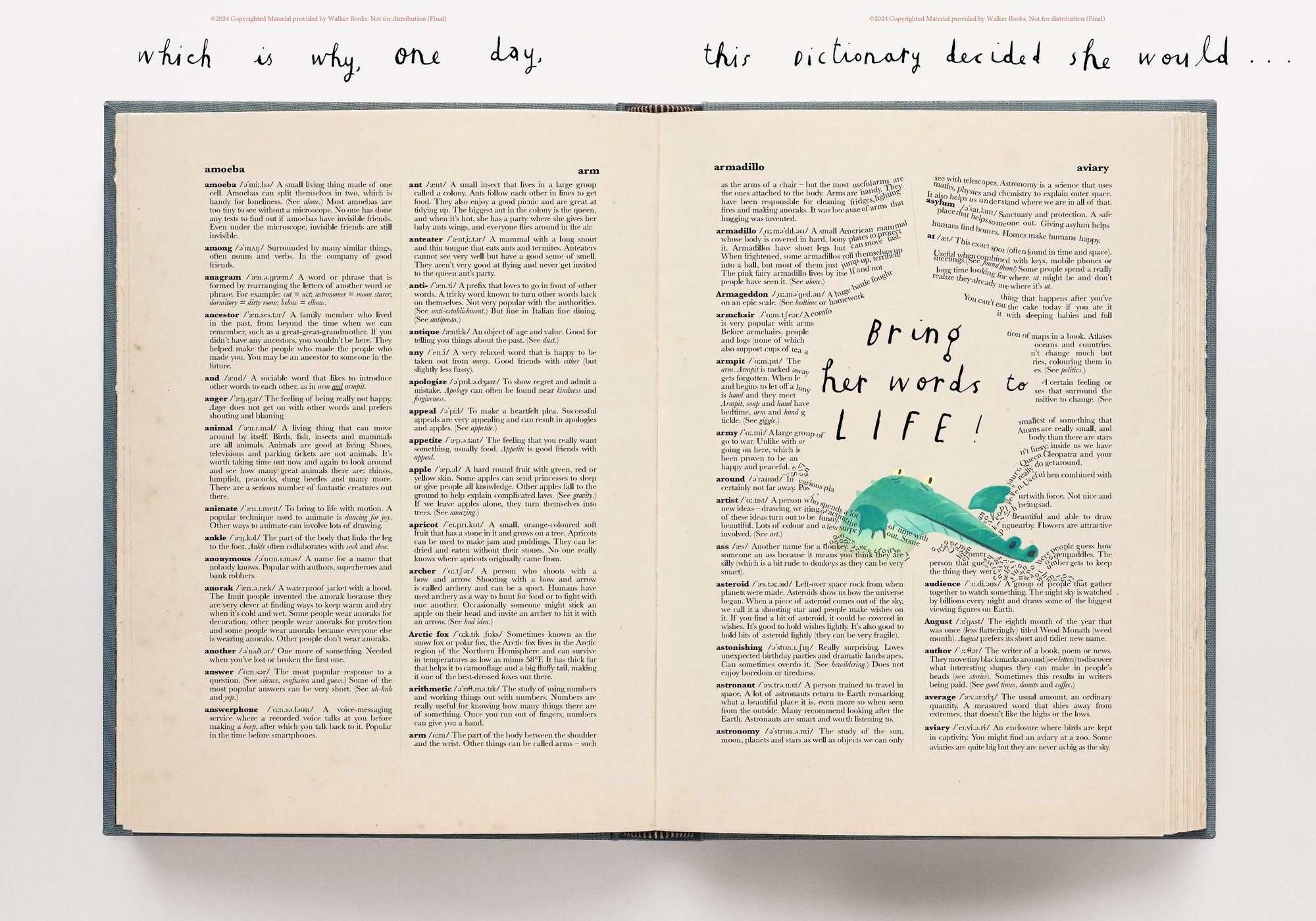 Alternative view of The Dictionary Story