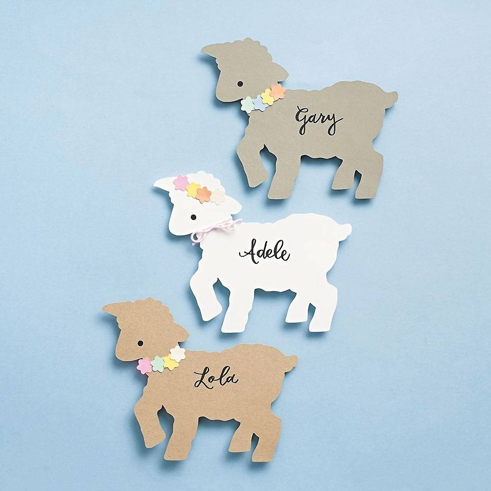 Alternative view of Little Lamb Kit