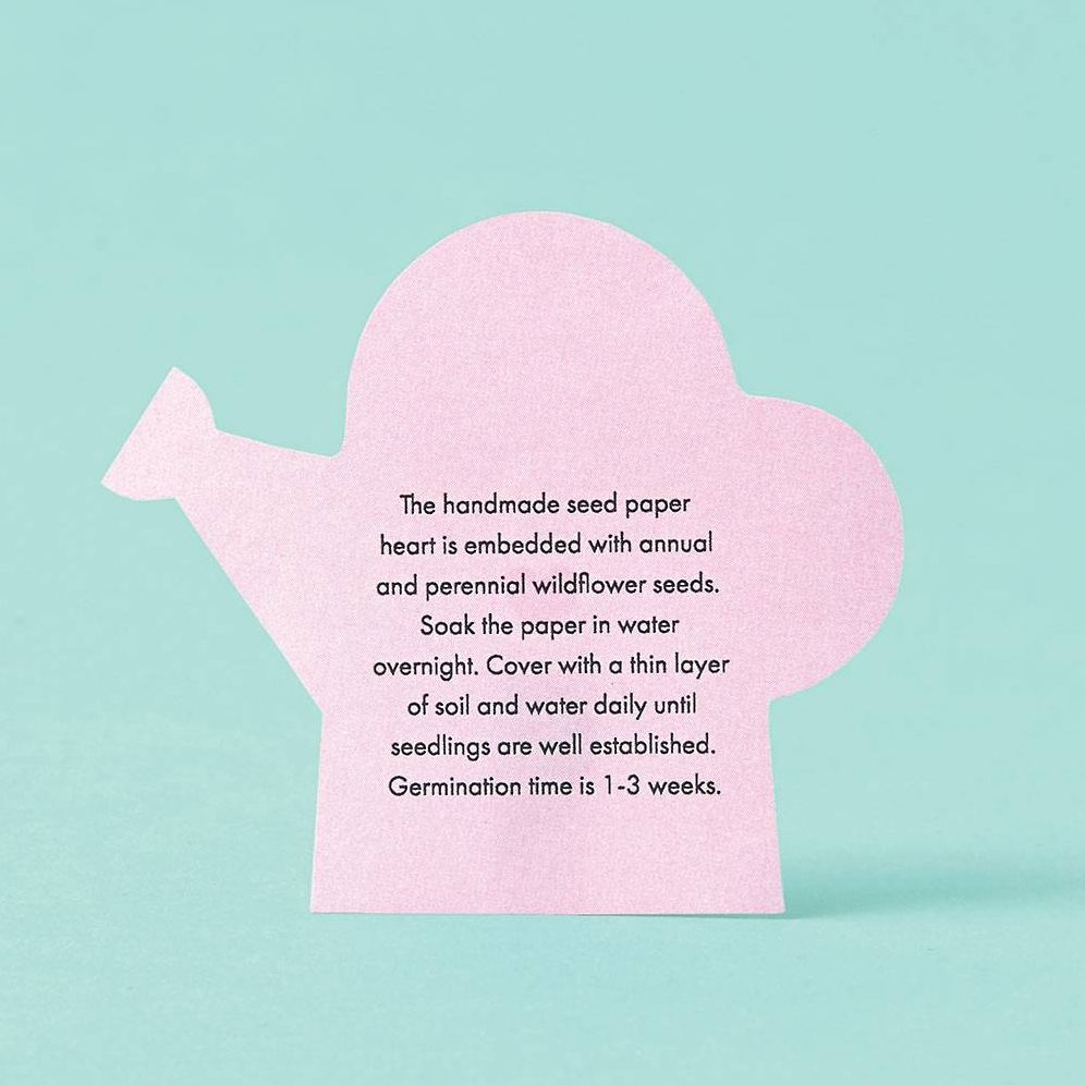 Alternative view of Potted Hearts Plant Kit