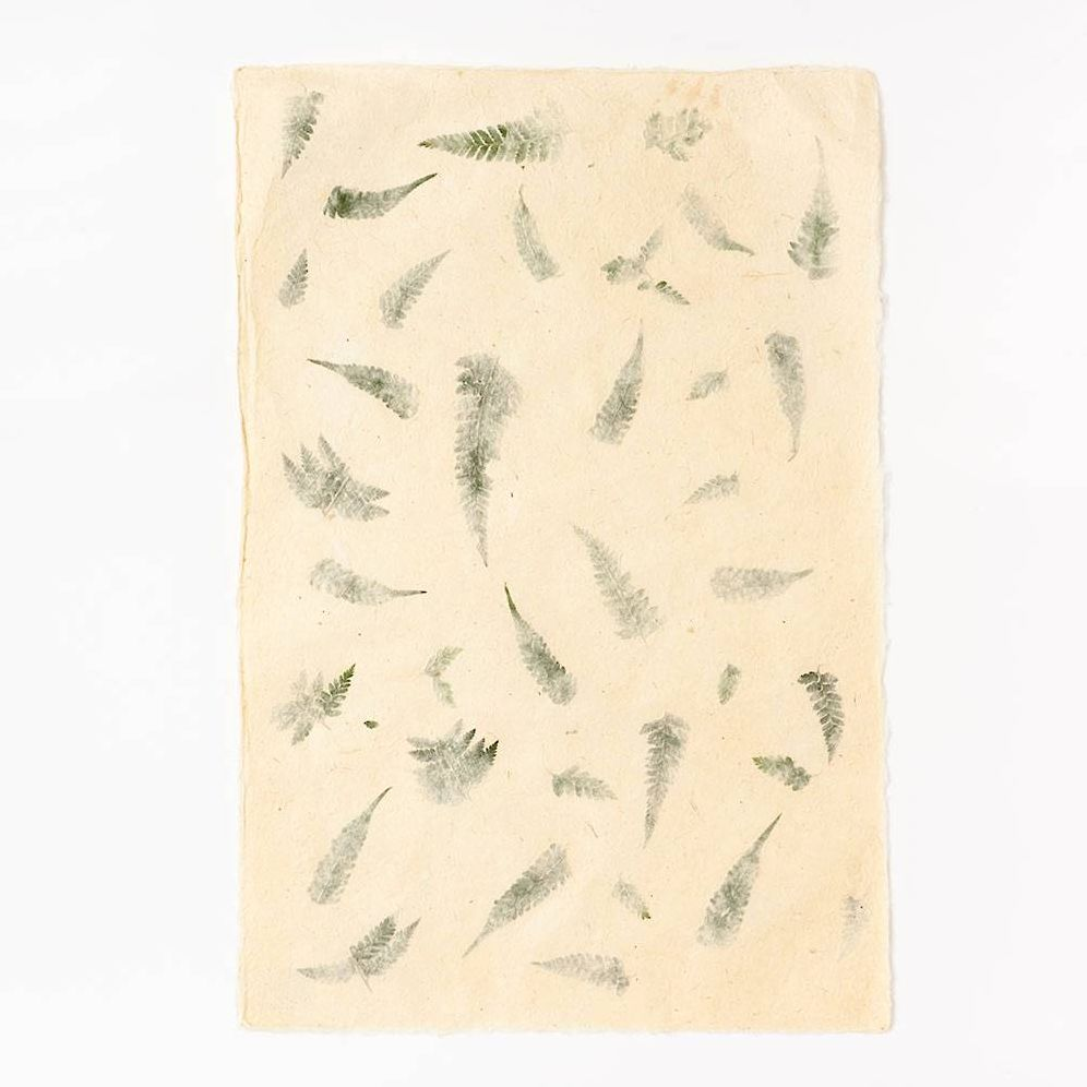 Alternative view of Pressed Greenery Handmade Paper