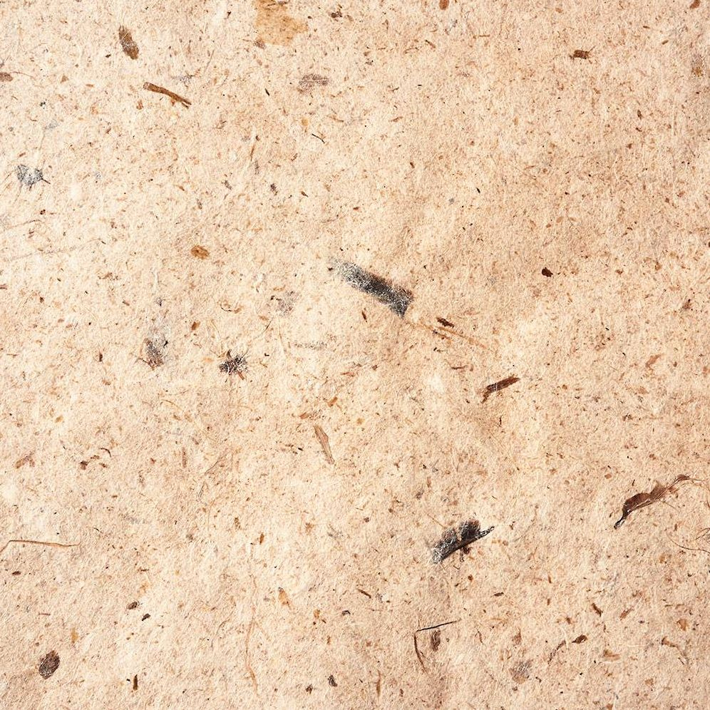 Alternative view of Natural Bark Handmade Paper