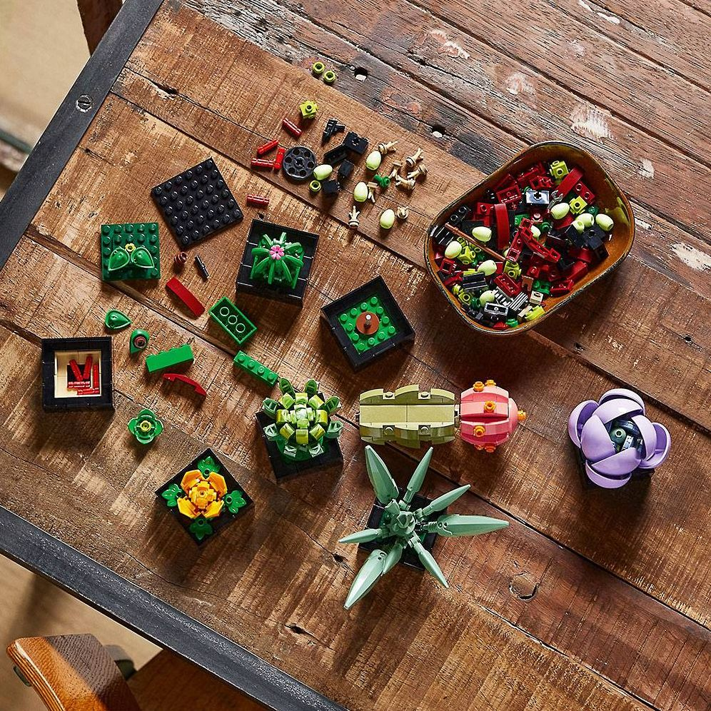 LEGO Icons Succulents 10309 - Image 9