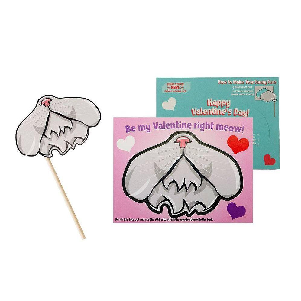 Funny Face Pet Mask Valentine Card Set - Image 3