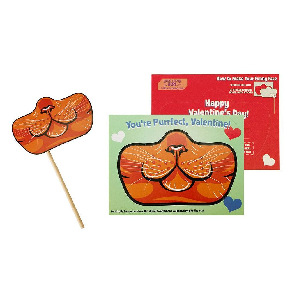 Funny Face Pet Mask Valentine Card Set - Image 4