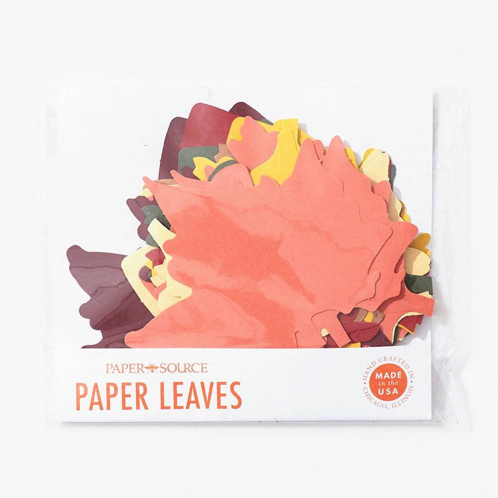 Alternative view of Assorted Fall Leaves