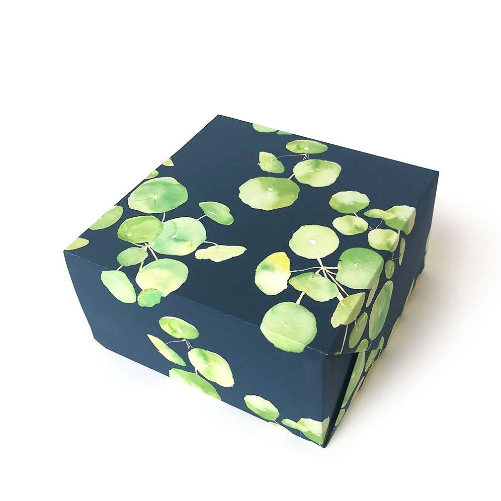Alternative view of Pilea Plant Flat Wrap