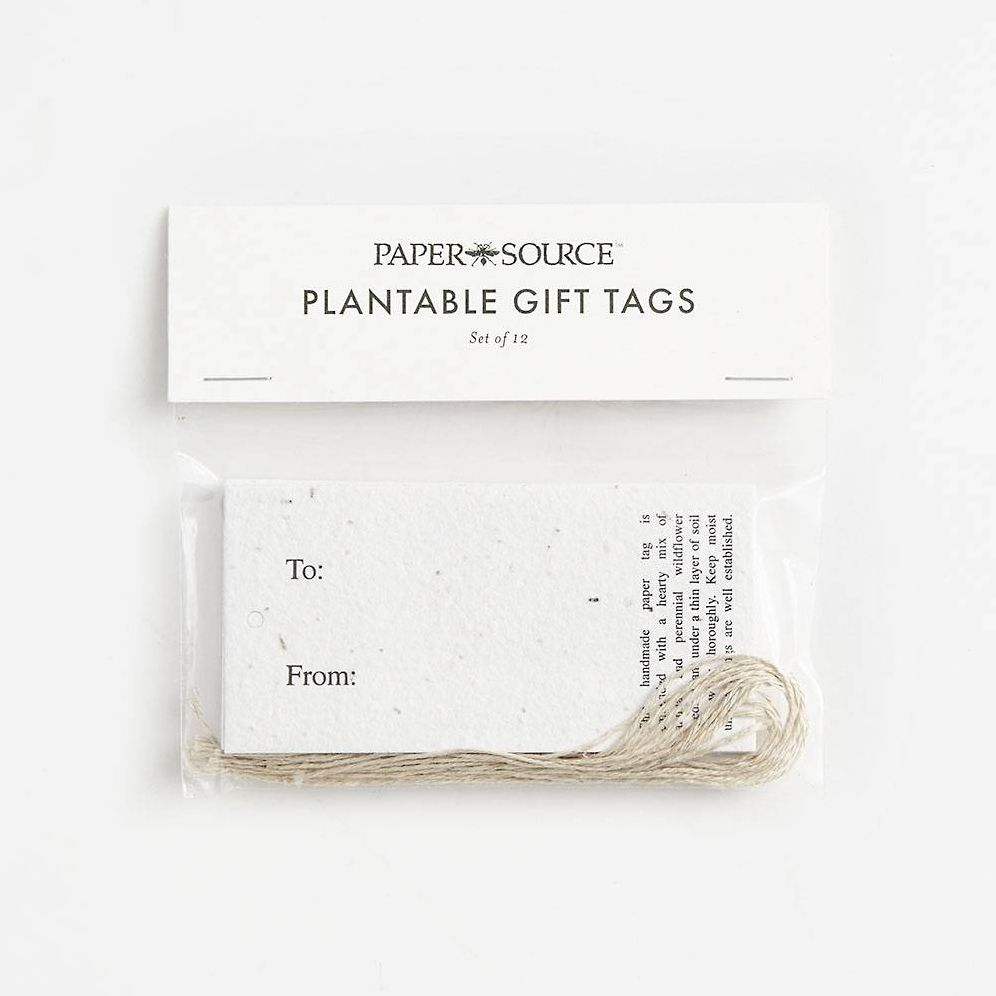 Alternative view of Plantable Gift Tags