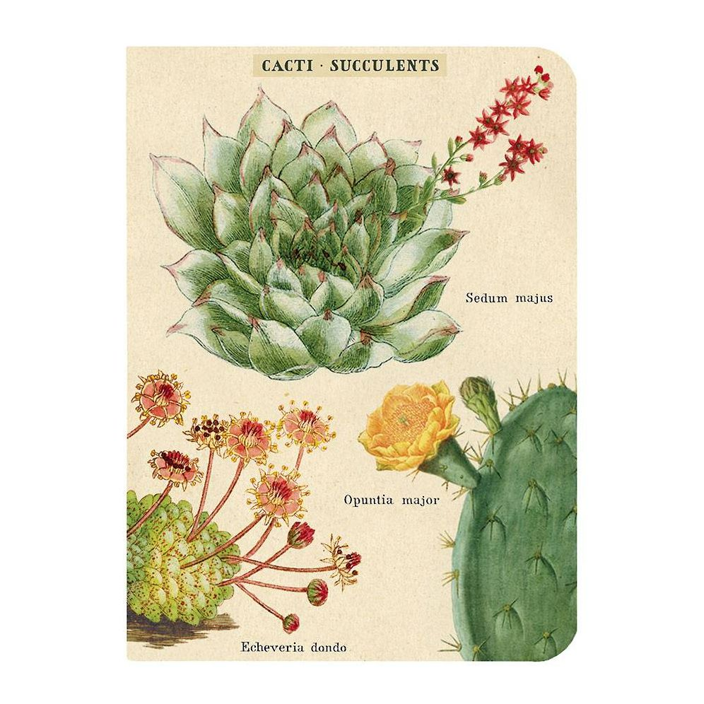 Succulents Mini Journals - Image 7