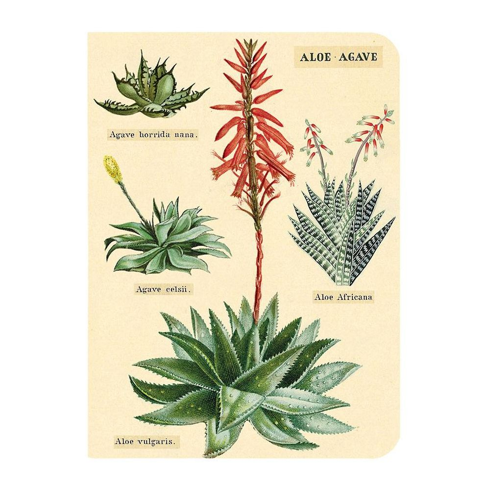 Succulents Mini Journals - Image 5
