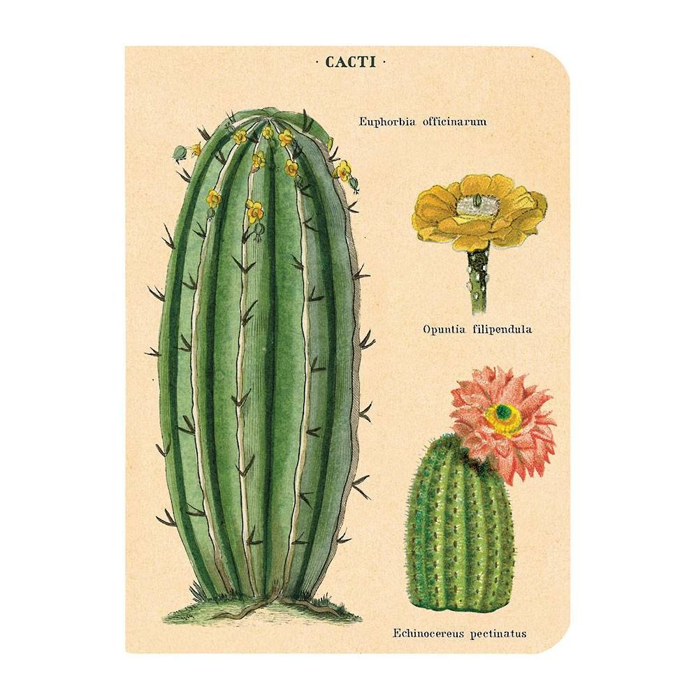 Succulents Mini Journals - Image 6